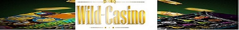 wild-casino.de